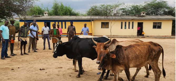 Turkana calls for local-based solutions to end banditry