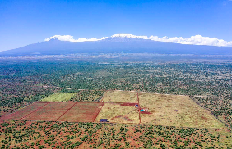 NGO raises alarm over land subdivision threats in Amboseli