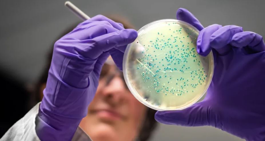 AI designs antibiotics for gonorrhoea, MRSA superbugs