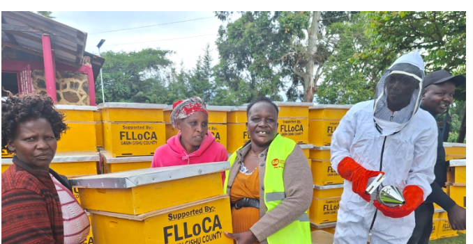 Uasin Gishu farmers turn to beekeeping for better returns