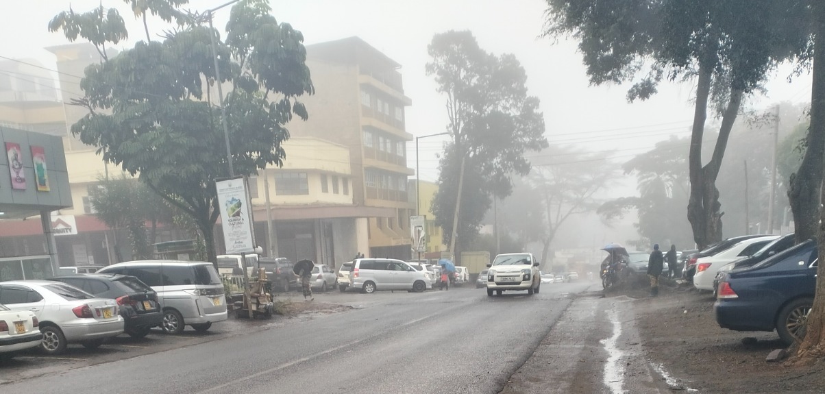 Heavy rains: Why farmers shouldn't plant yet