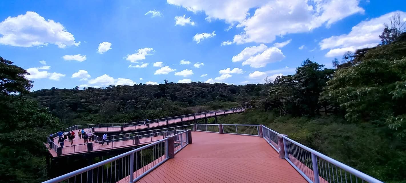 EXPLAINER: Exploring Nairobi Safari Walk, the City’s gateway to nature