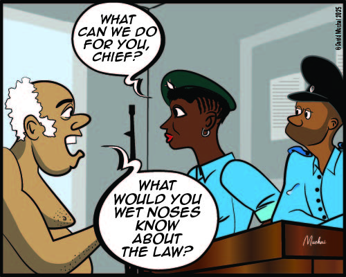 JIJI NDOGO: The chief and the start of a succession saga