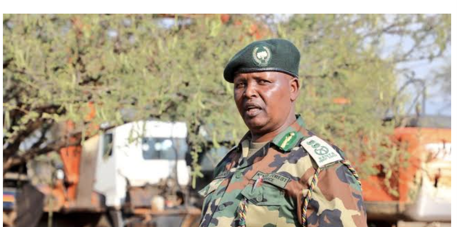 KFS: New e-Citizen payment system will not affect Karura Forest visits