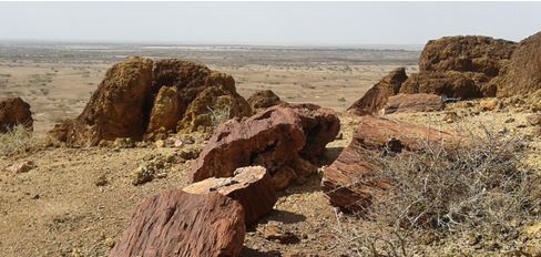 EXPLAINER: Exploring Sibiloi National Park: Where wildlife meets dawn of humankind