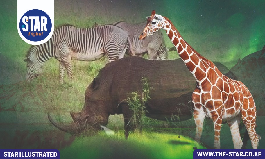 Know Kenya: Meru National Park - Enjoy the complete wilderness