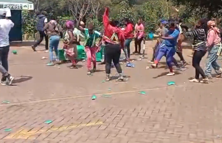 Chaos as friends of Karura protest e-Citizen roll-out