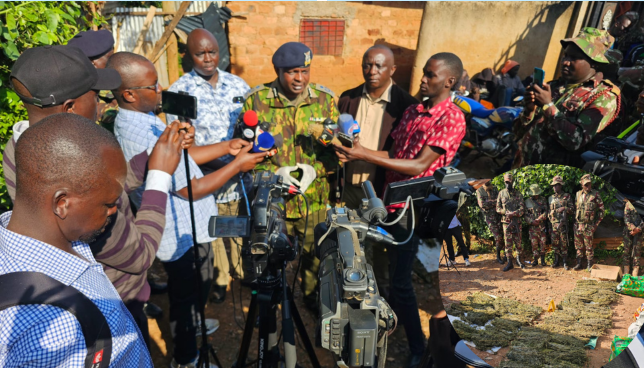 NACADA Crackdown Nets Sh2 Million Cannabis, Arrests Drug Kingpin’s Wife