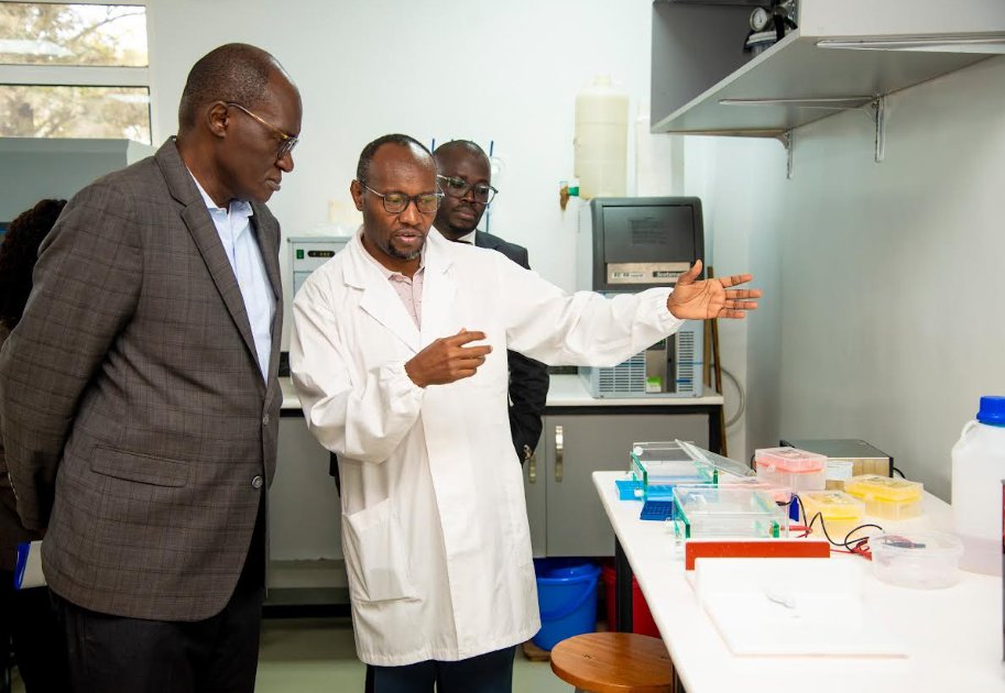Kenya's Ambitious Healthcare Goal: Universal Coverage by 2030 - Are We on Track?