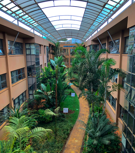UN Nairobi hub expands as operations shift to Kenya