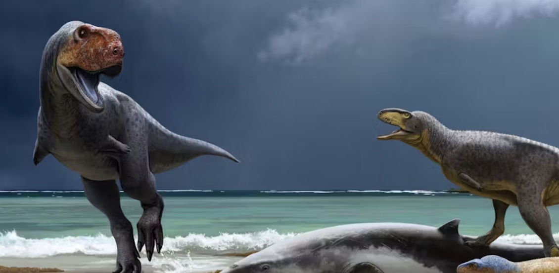 Morocco dinosaur discovery gives clues on why they went extinct