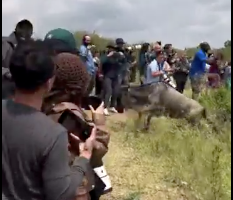 State tightens rules at the Mara after tourists incident