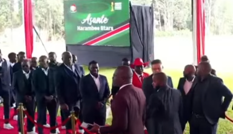 Harambee Stars get presidential honour at State House