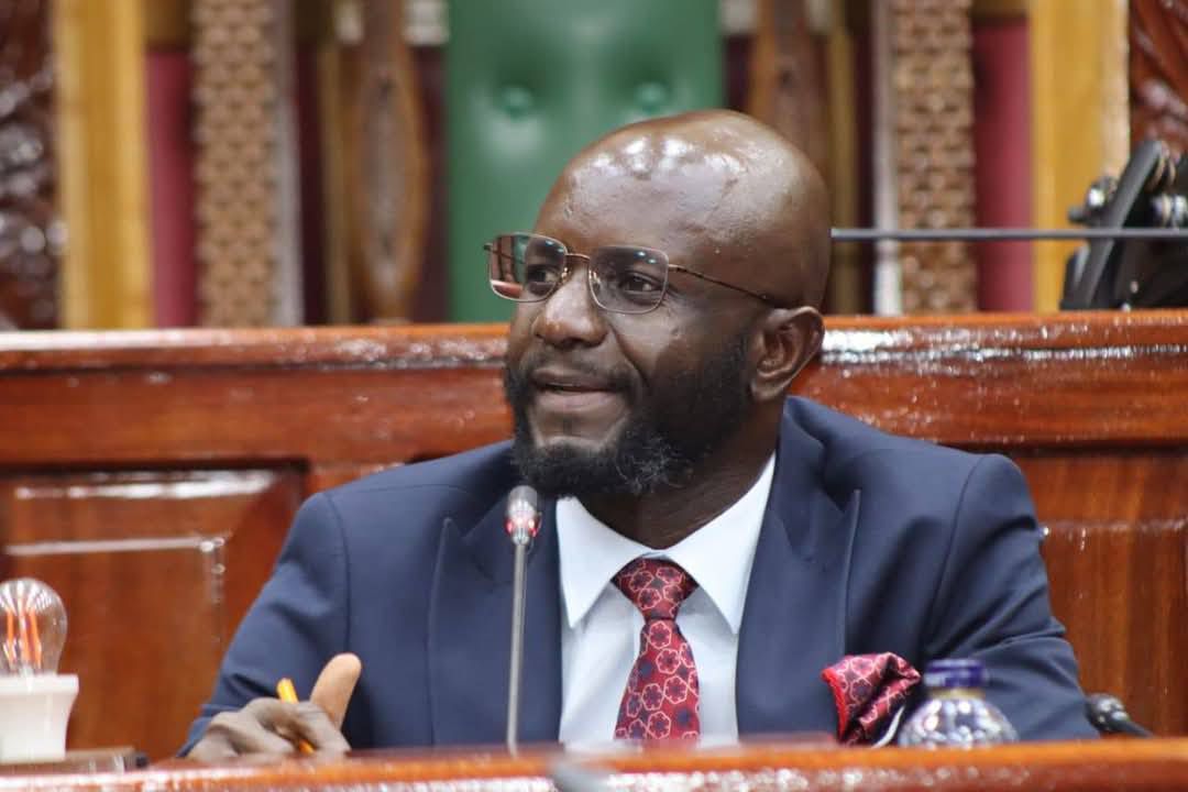 Budget Committee raises concern over declining development budget absorption