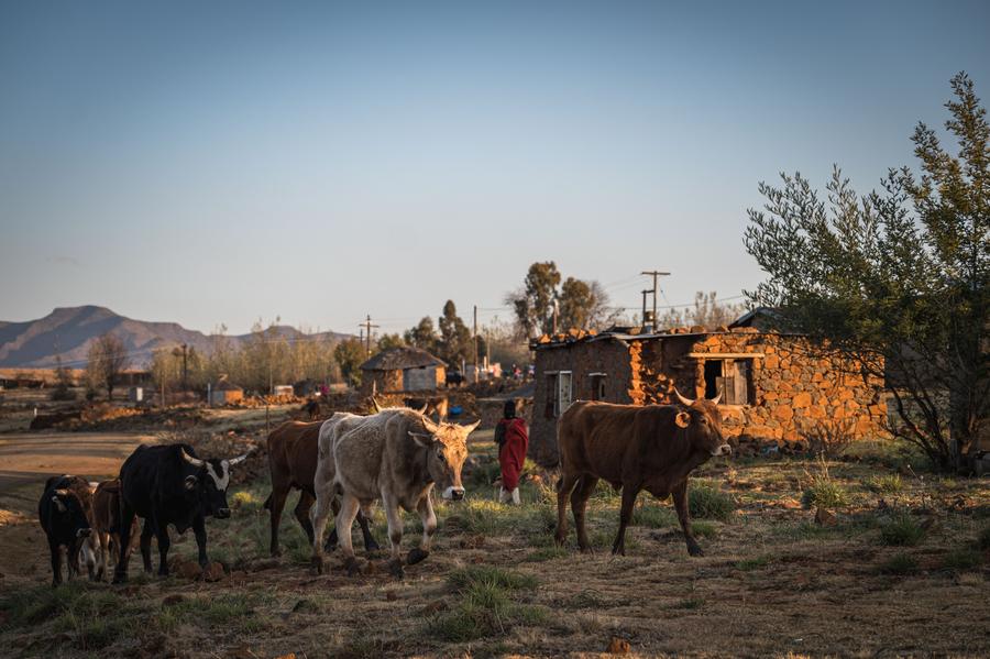 (Hello Africa) Steep U.S. tariff hits Lesotho's textile industry
