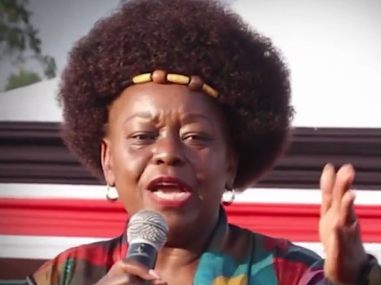 Millie Odhiambo: We can ask Ruto to back Raila 2027