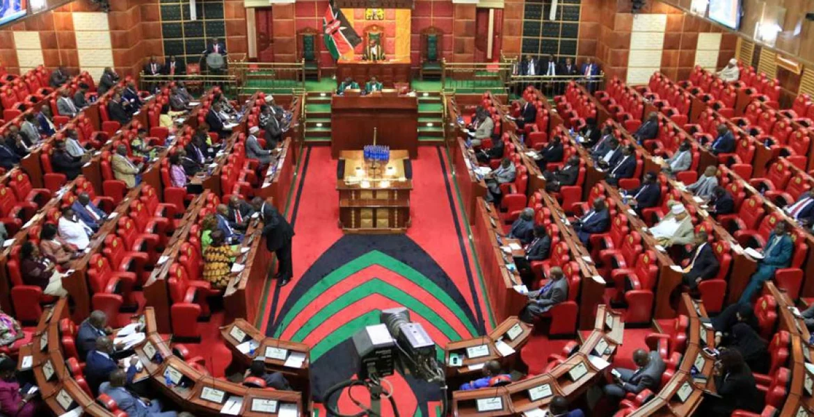 MPs mull age cap for IG, term limits for deputies