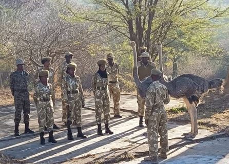 EXPLAINER: How KWS is fostering harmony between people, wildlife