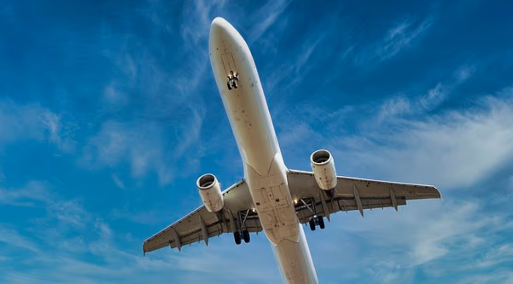 Tourist’s midair punch rampage forces emergency landing