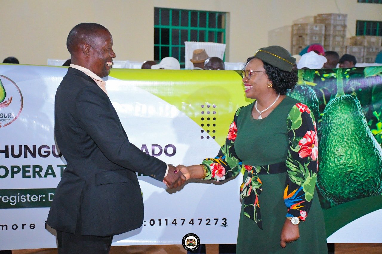 Githunguri eyes avocado farming to tap multibillion-shilling export market