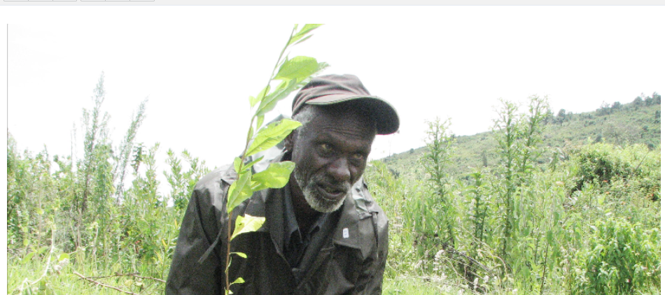 Locals to get paid for preserving forests under new proposed law