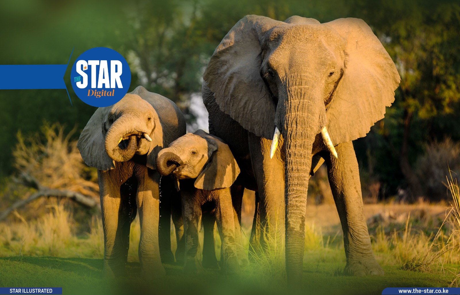 Know Kenya: Chyulu Hills National Park
