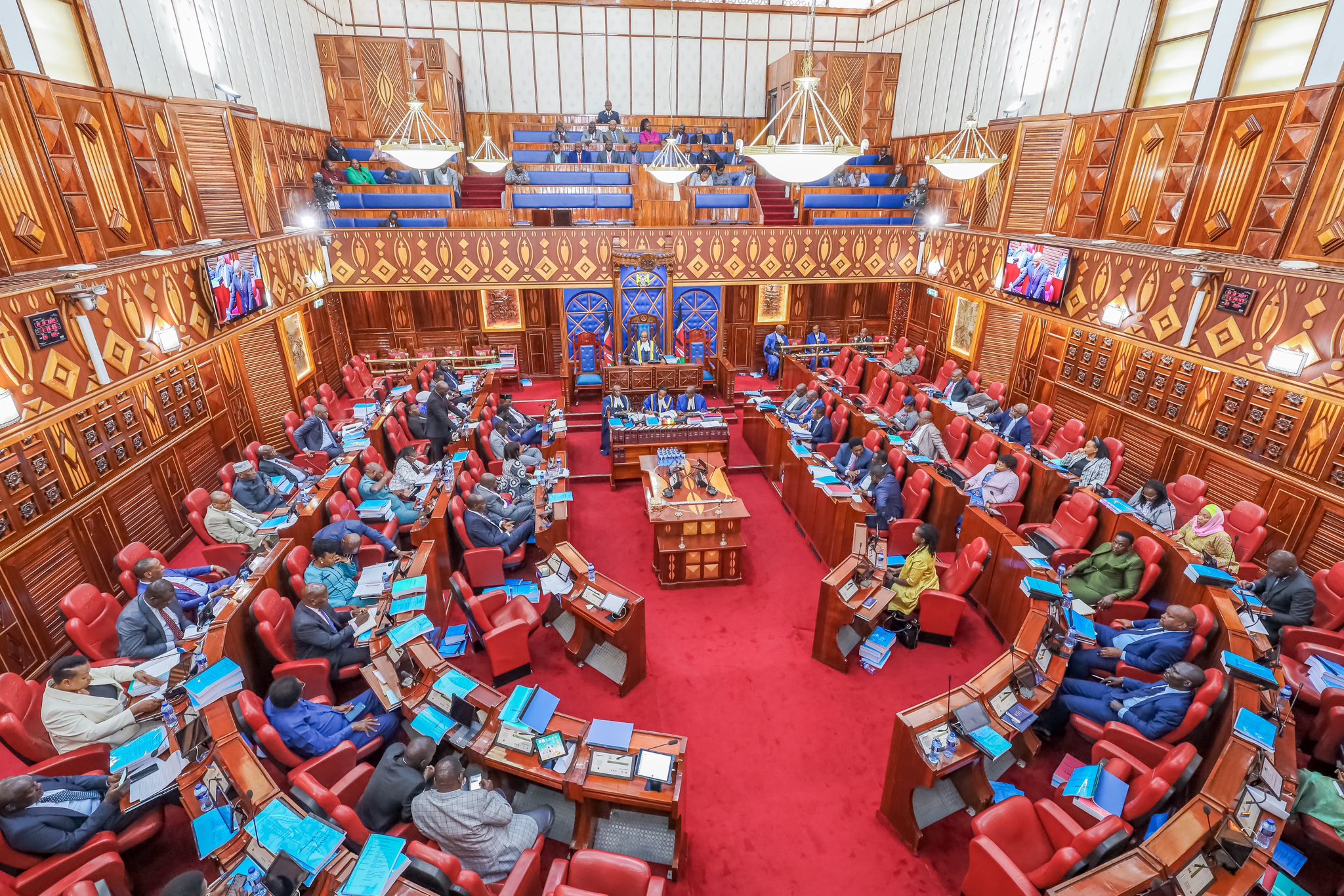 JILL GHAI: Senate and its powers, good and bad