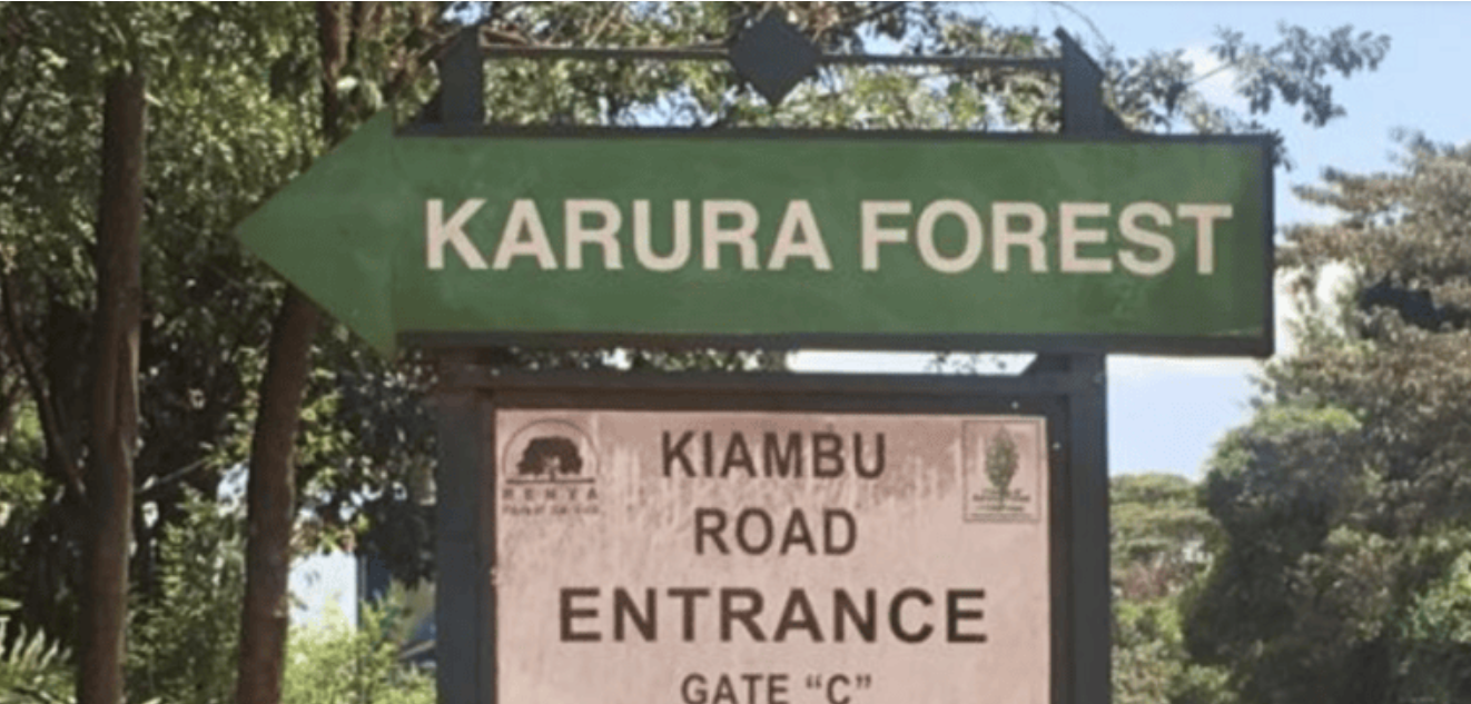 KFS explains hike in Karura Forest entry charges