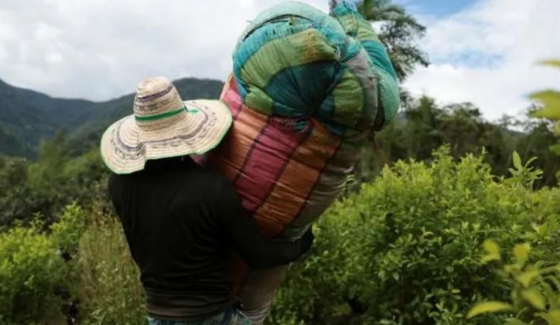 Colombia 'failing to cooperate in drug war," US says