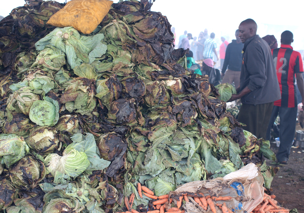 Report: 40% of food in Kenya going to waste as 15 million go hungry