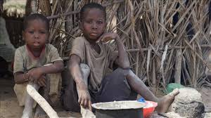 Most of Kenya’s food goes to waste as millions suffer hunger
