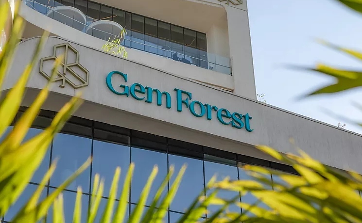 Gem Forest//Web
