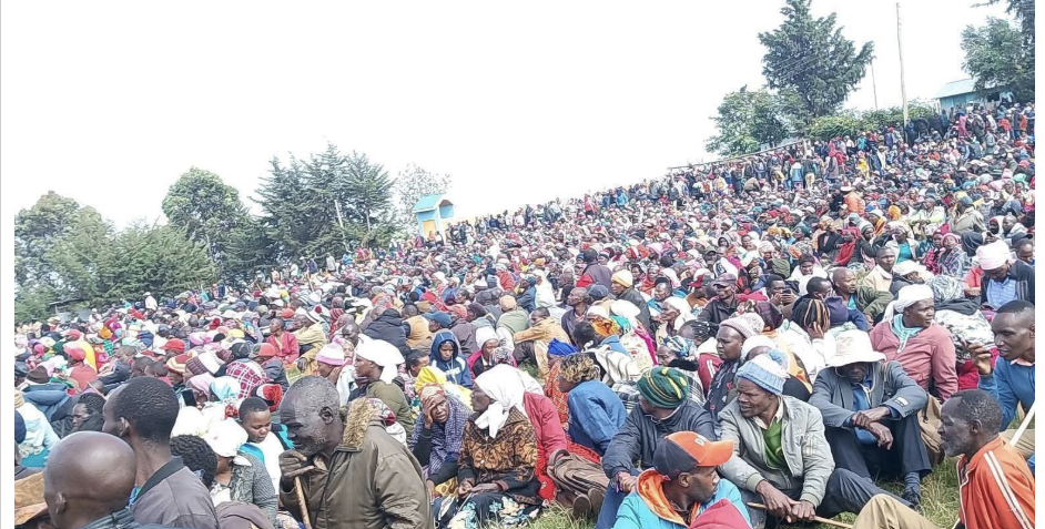 End of limbo? Mau Forest evictees finally on path to redress