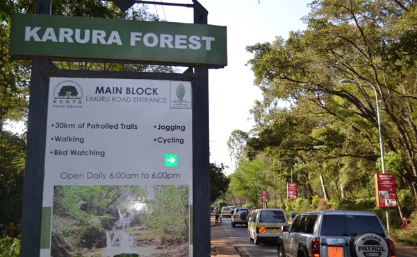 Karura Forest row puts bursaries, jobs and conservation projects at risk