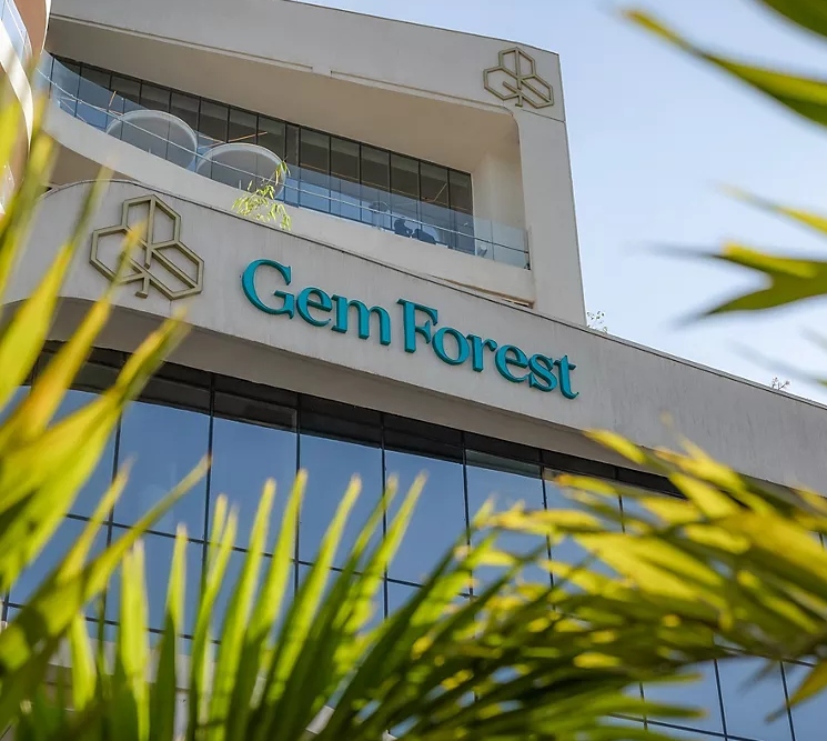 Inside Gem Forest Hotel: Food, Spa, and Serenity