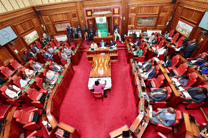 In Parliament this week: Diplomat vetting, field trips top House agenda