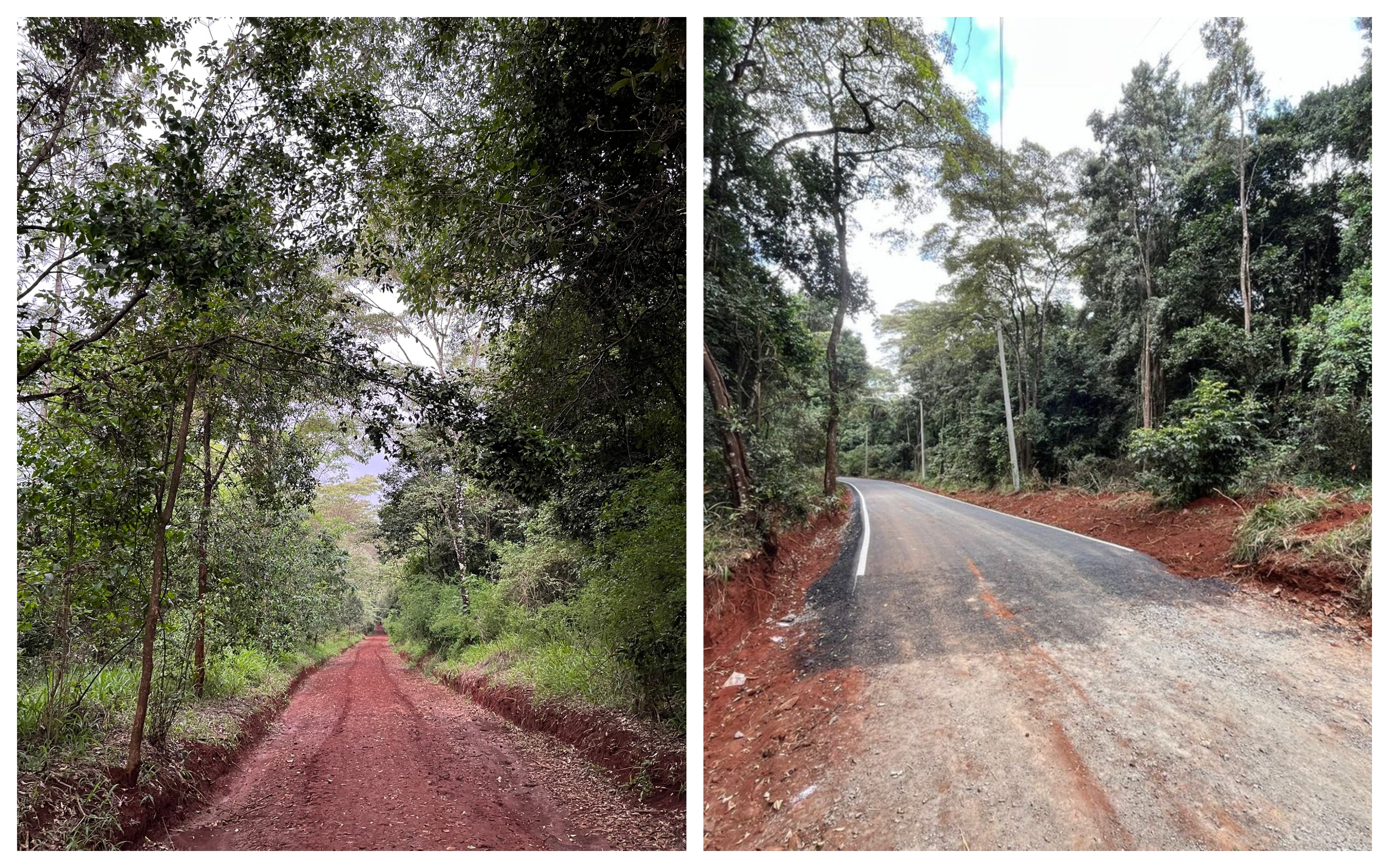KFS Gives Real Reason for Tarmacking Karura Forest