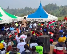 Why Kaluma Boy is trending