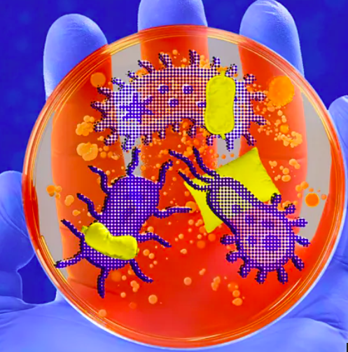 Snug with your bugs? How microbes control your sleep