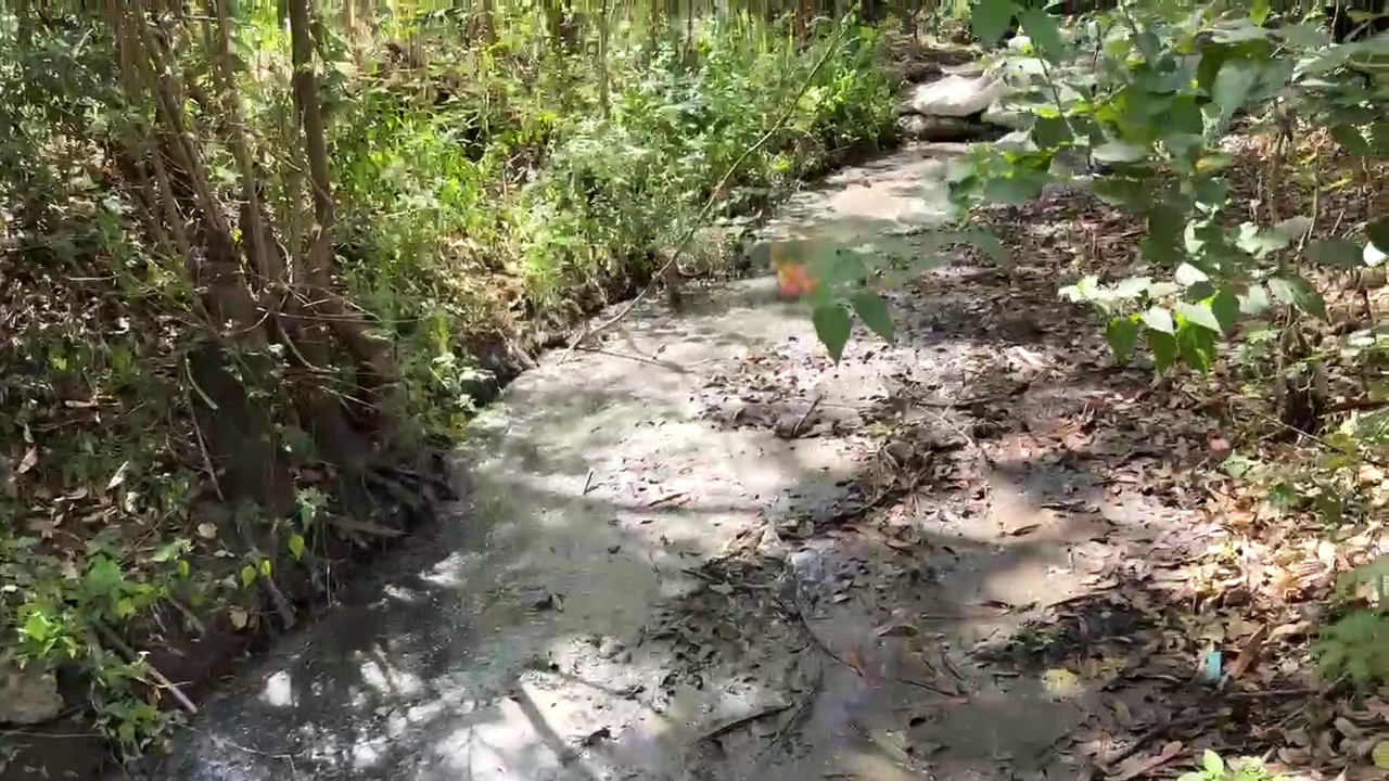 Leaders call for closure on Kirinyaga factory over river pollution