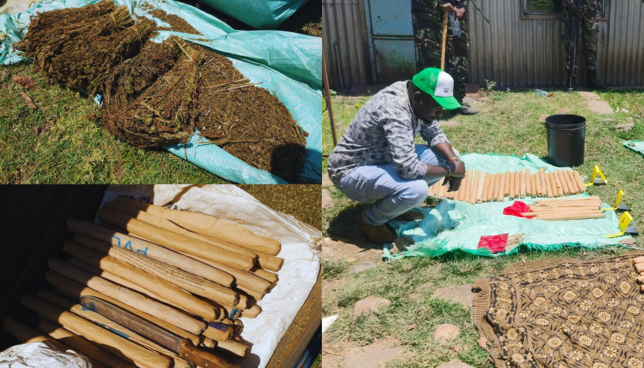 NACADA Busts Major Narcotics Supply Chain in Kisumu