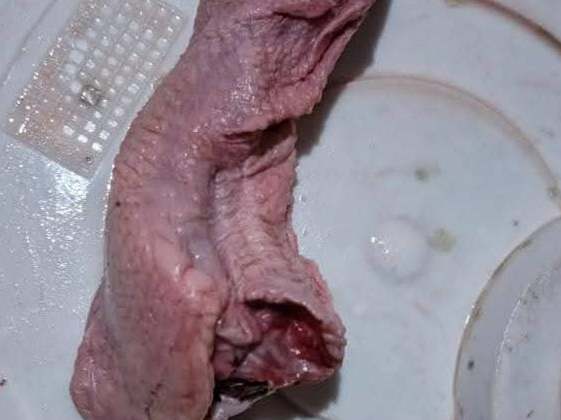 Bomet hotelier arrested for selling flamingo meat