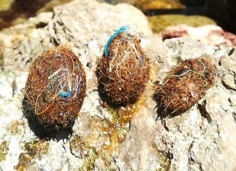 Why plastic-filled 'Neptune balls' are washing up on beaches