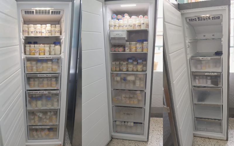 Pumwani milk bank gives critical lifeline to newborns