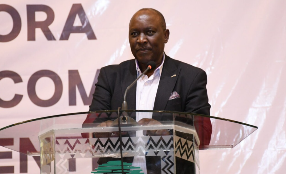 Diaspora lobby to develop investment blueprint for cooperatives