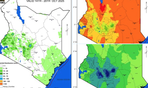 Expect rains across several regions in next one week - Met
