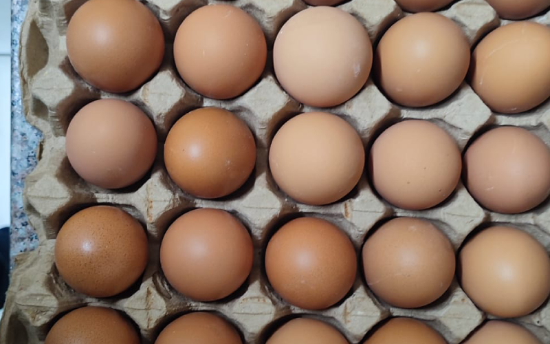 EXPLAINER: What you need to know about World Egg Day
