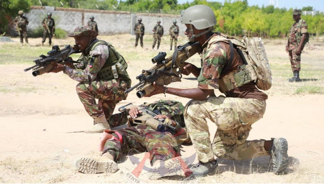 Security forces bear brunt of Kenya’s terror violence – report