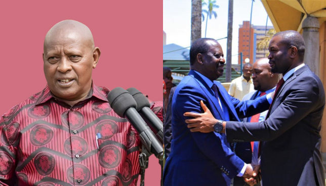 Babu, Nyong’o, Sifuna Blast Kahiga Over Disrespectful Raila Comments