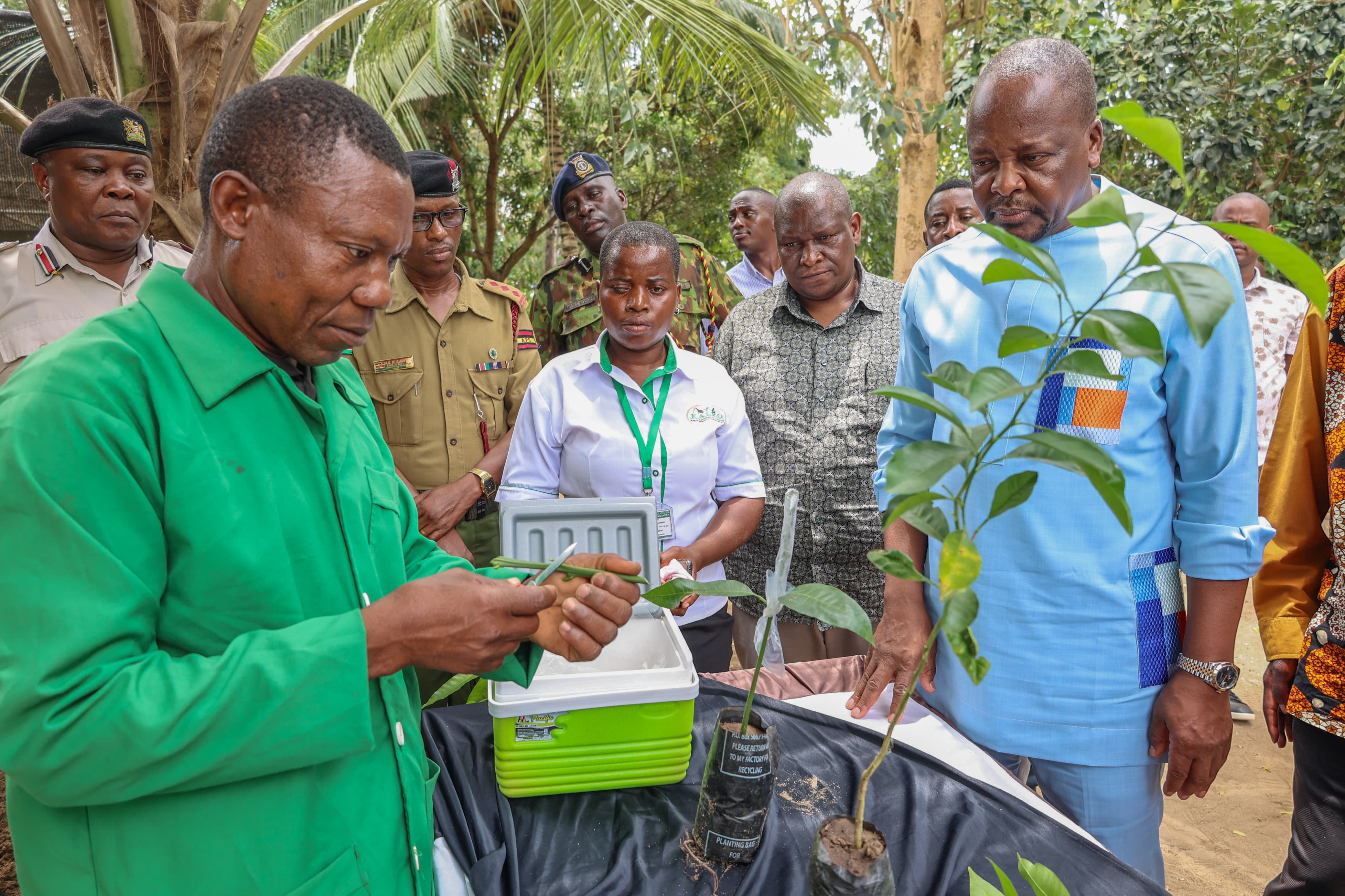 It must stop – CS Kagwe says on Kenya importing 5 billion eggs annually